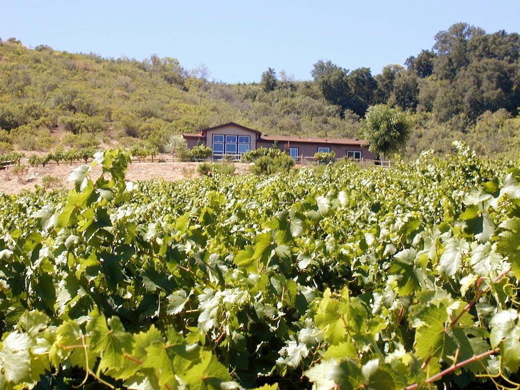 Sirena Vineyard Resort - 3 Bedroom Guest House El Paso de Robles Exterior foto